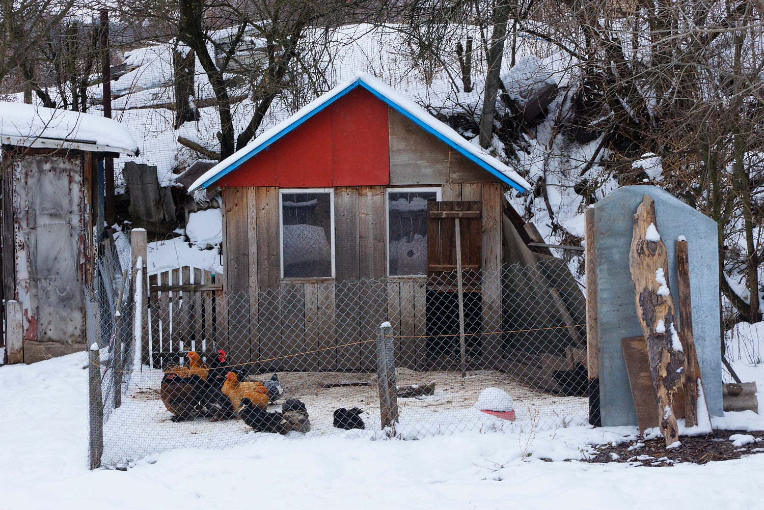 Foto eines Hühnerstalls, draußen, es liegt Schnee, mit Hühnern davor