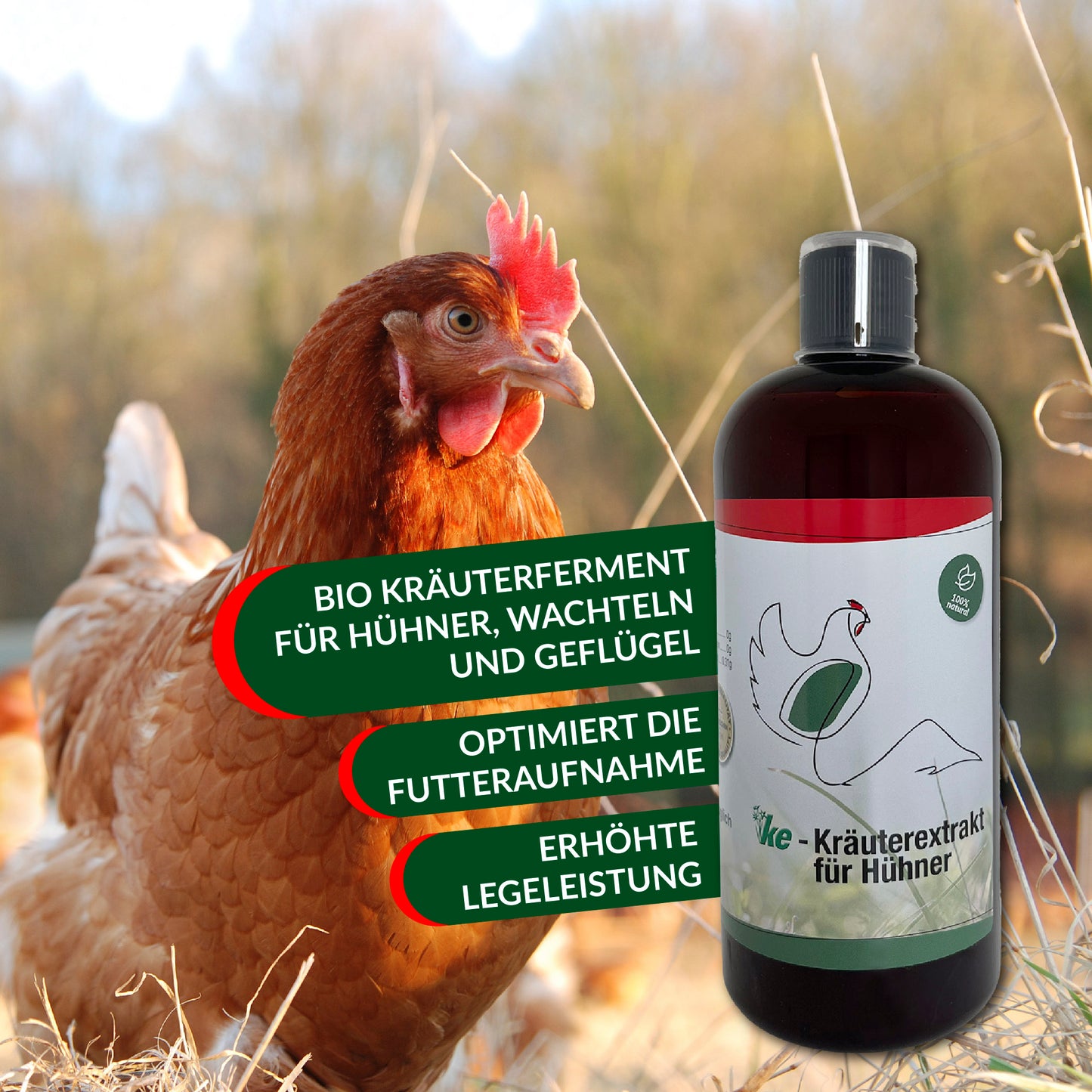 Info Flyer für KE-Kräuterextrakt für Hühner
