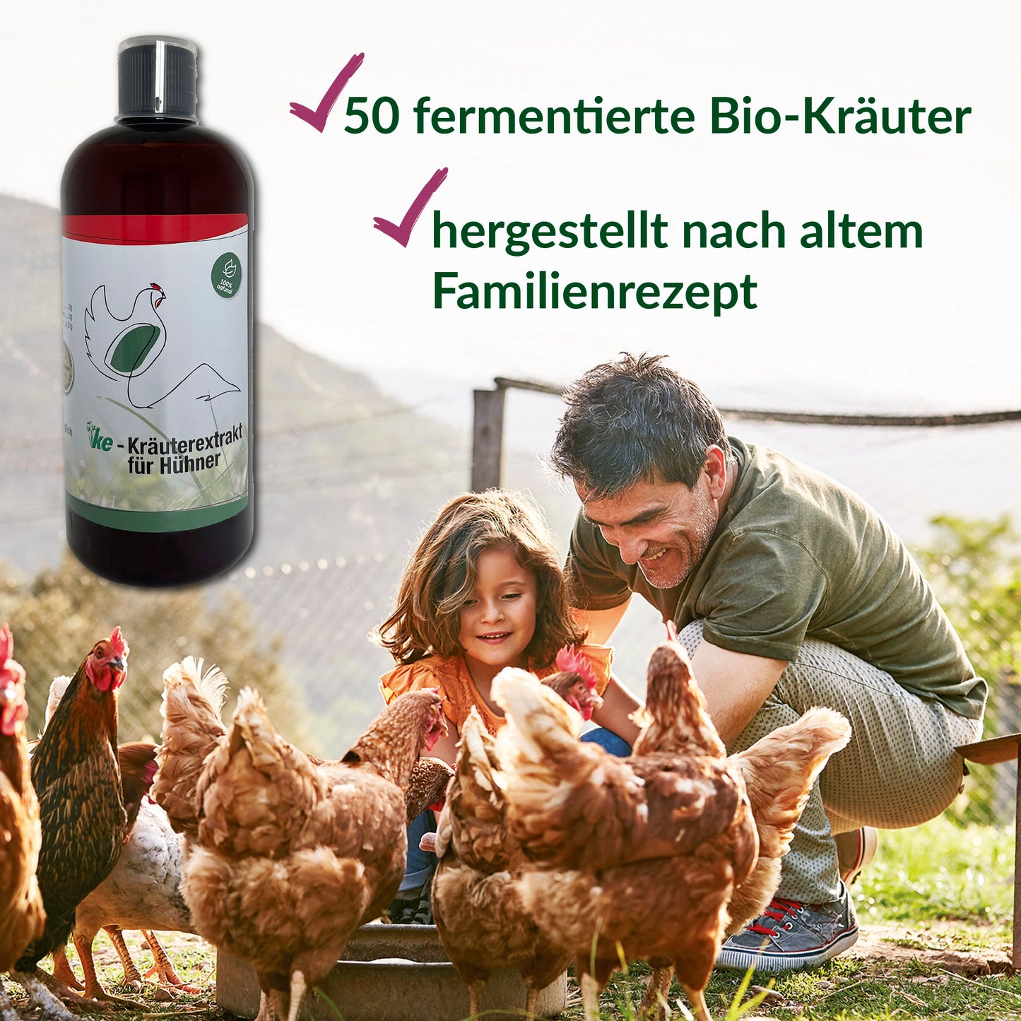 Info Flyer für KE-Kräuterextrakt für Hühner