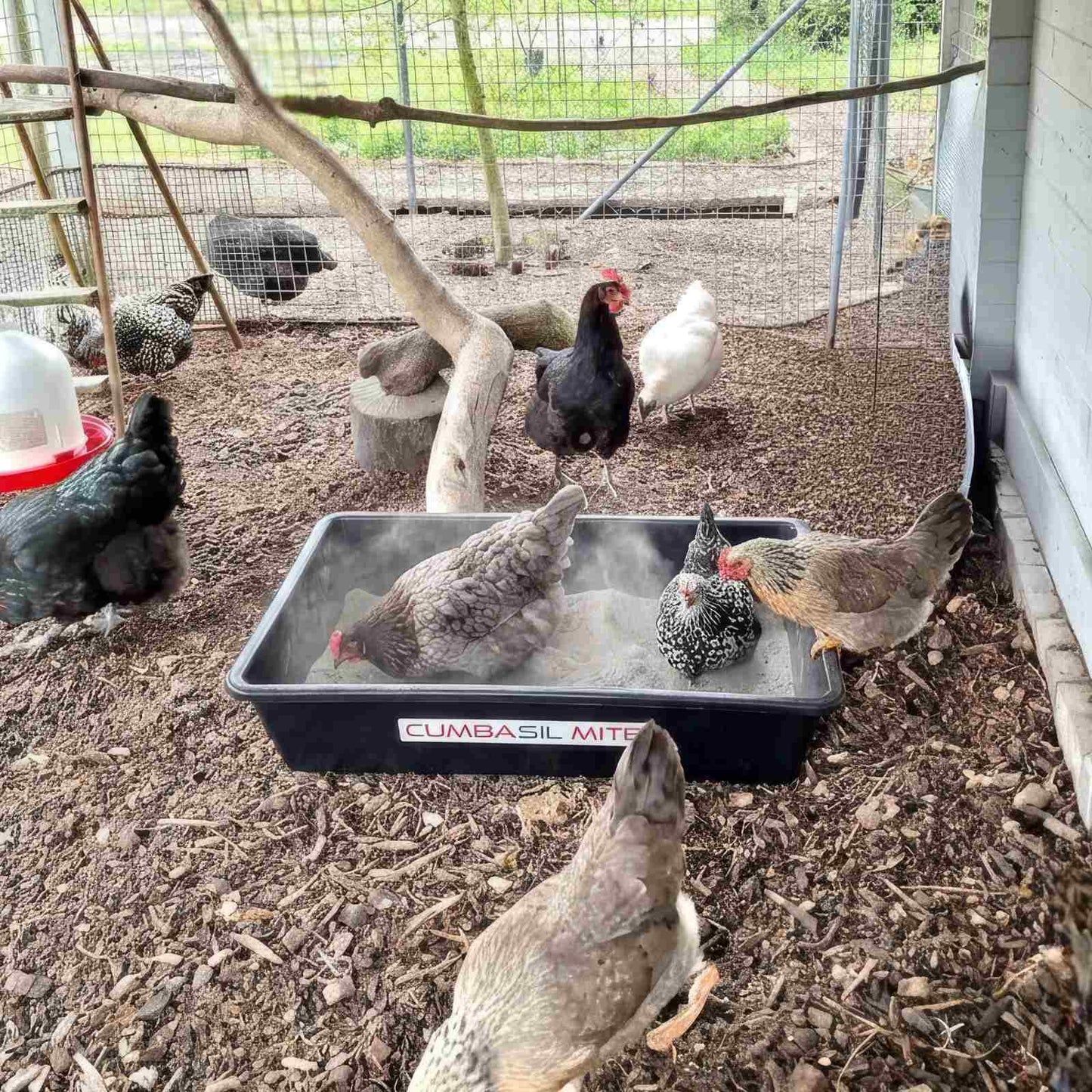 Cumbasil Mite Profi Staubwanne 20L