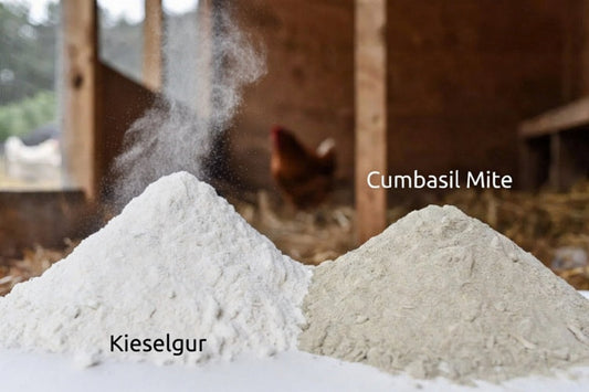 Unterschied zwischen Cumbasil Mite und Kieselgur!