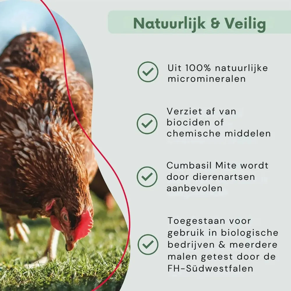 #lang:nl