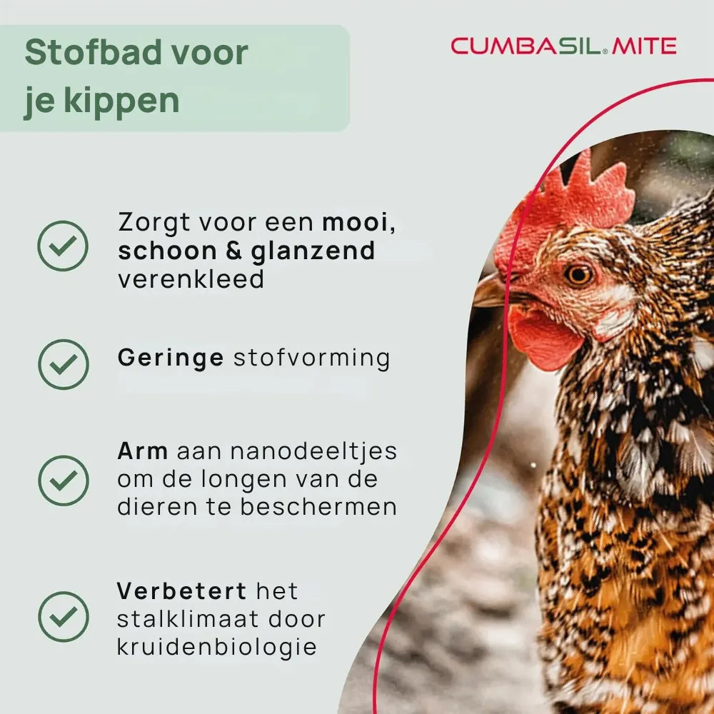 #lang:nl