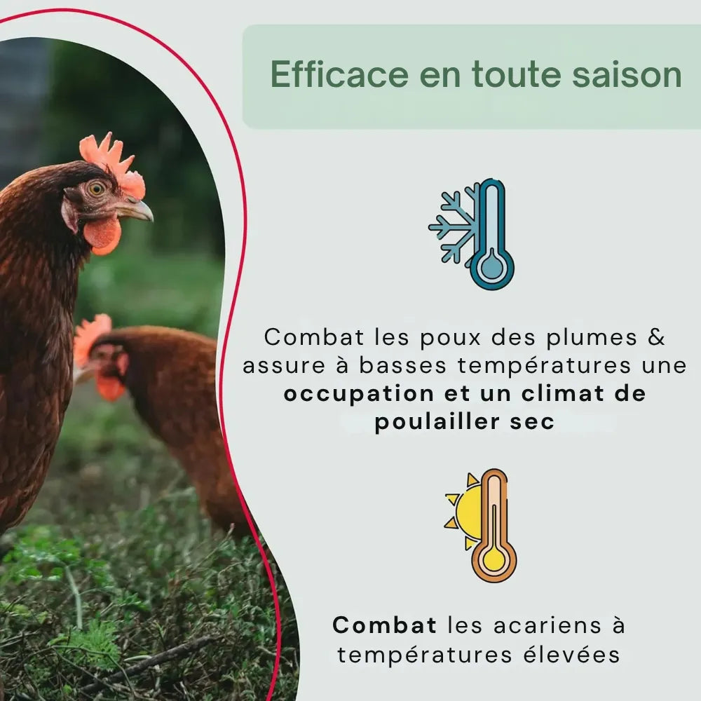 #lang:fr