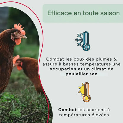 #lang:fr