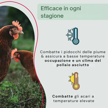 #lang:it