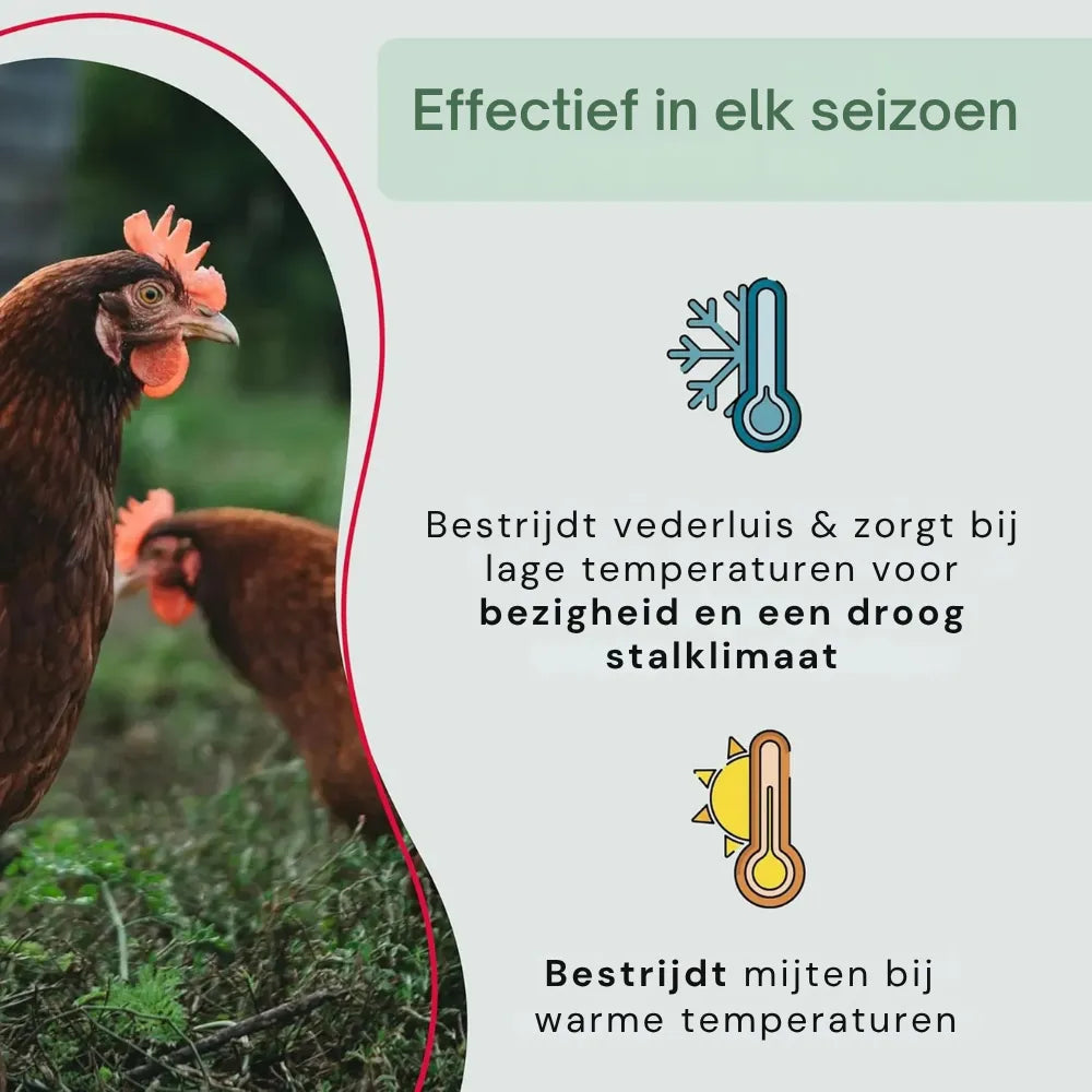 #lang:nl