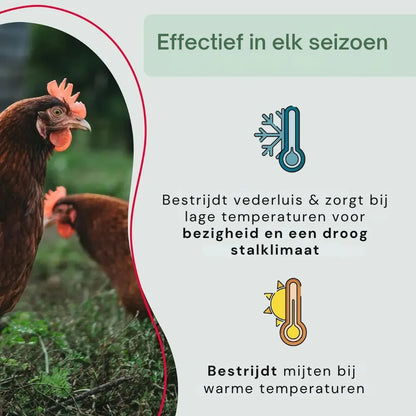 #lang:nl