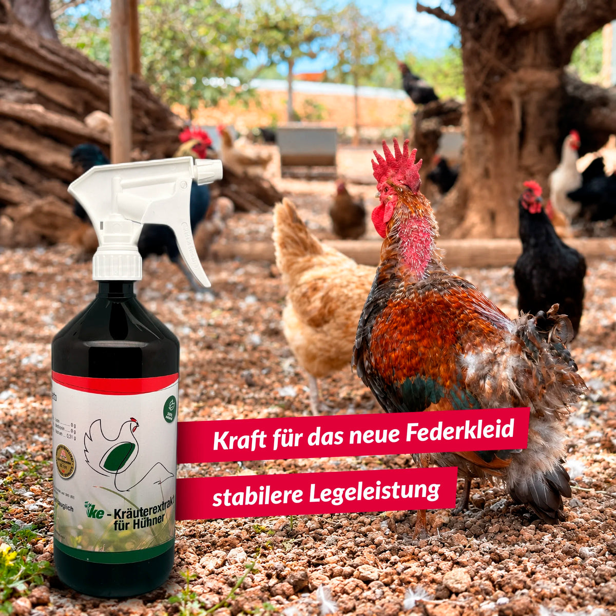KE-Kräuterextrakt 1000ml - natürliches Wohlbefinden für deine Hühner DE-ÖKO-012