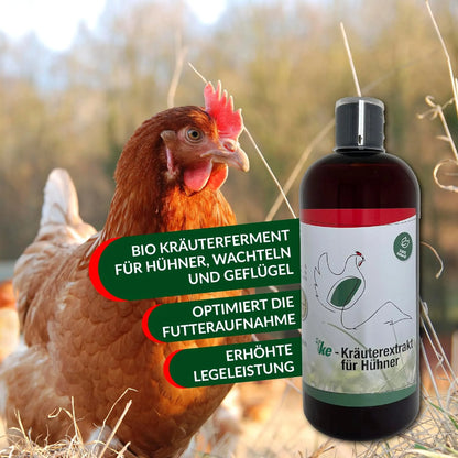 KE-Kräuterextrakt - Kräuter für glückliche Hühner