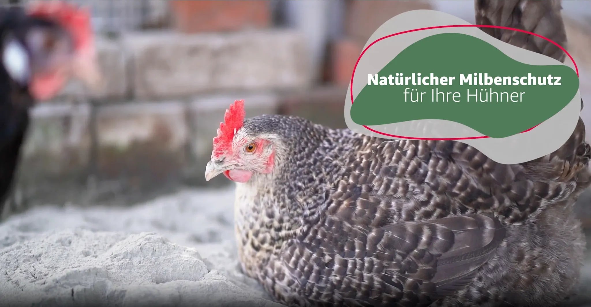 Video laden: Cumbasil Mite wird von dem Gründer und Geschäftsführer Elmar Heither vorgestellt