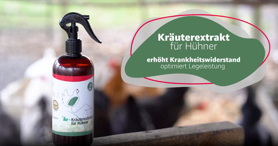 KE Kräuterextrakt wird von dem Gründer und Geschäftsführer Elmar Heither vorgestellt